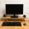 Monitor riser
